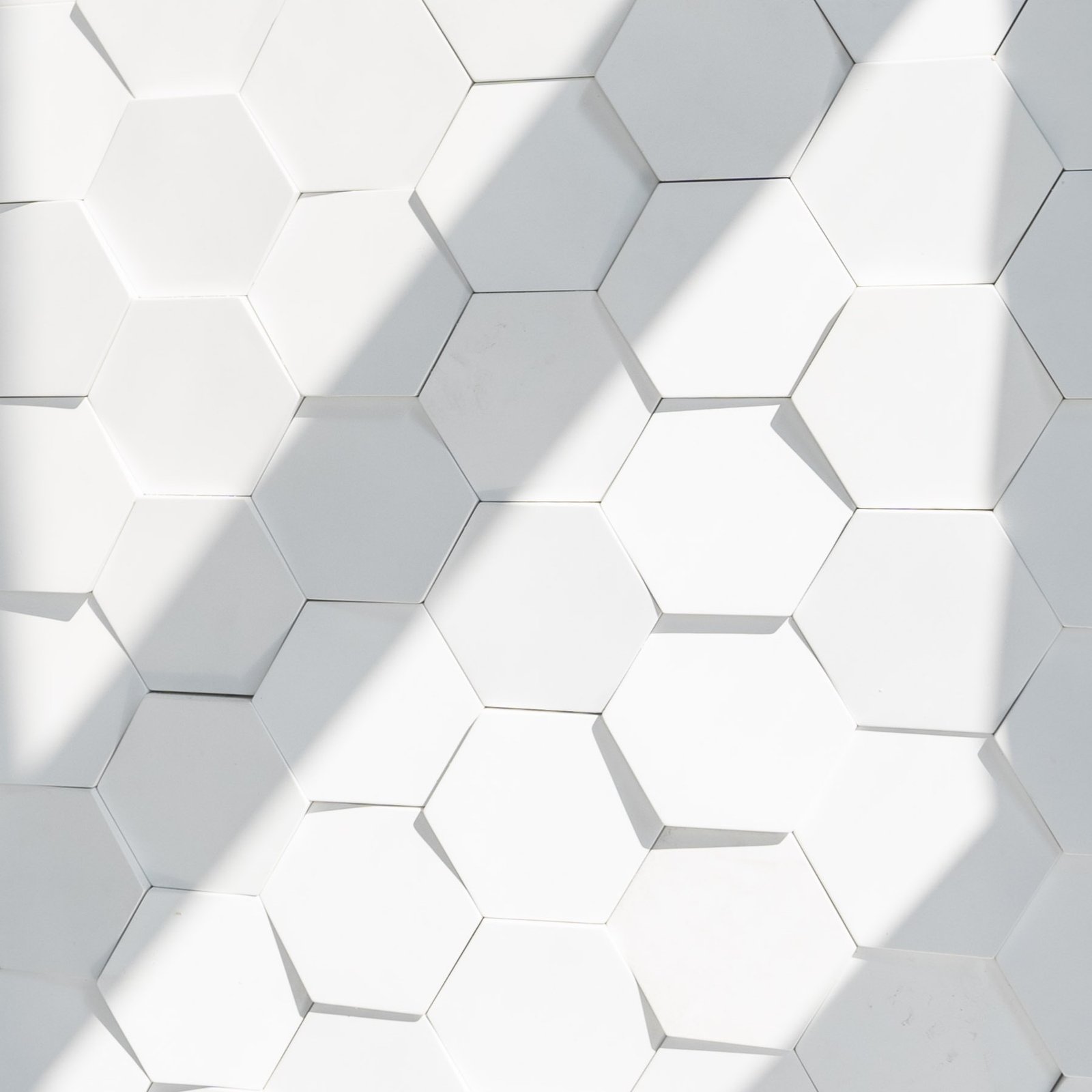 White three-dimensional hexagonal wall tiles under raking light