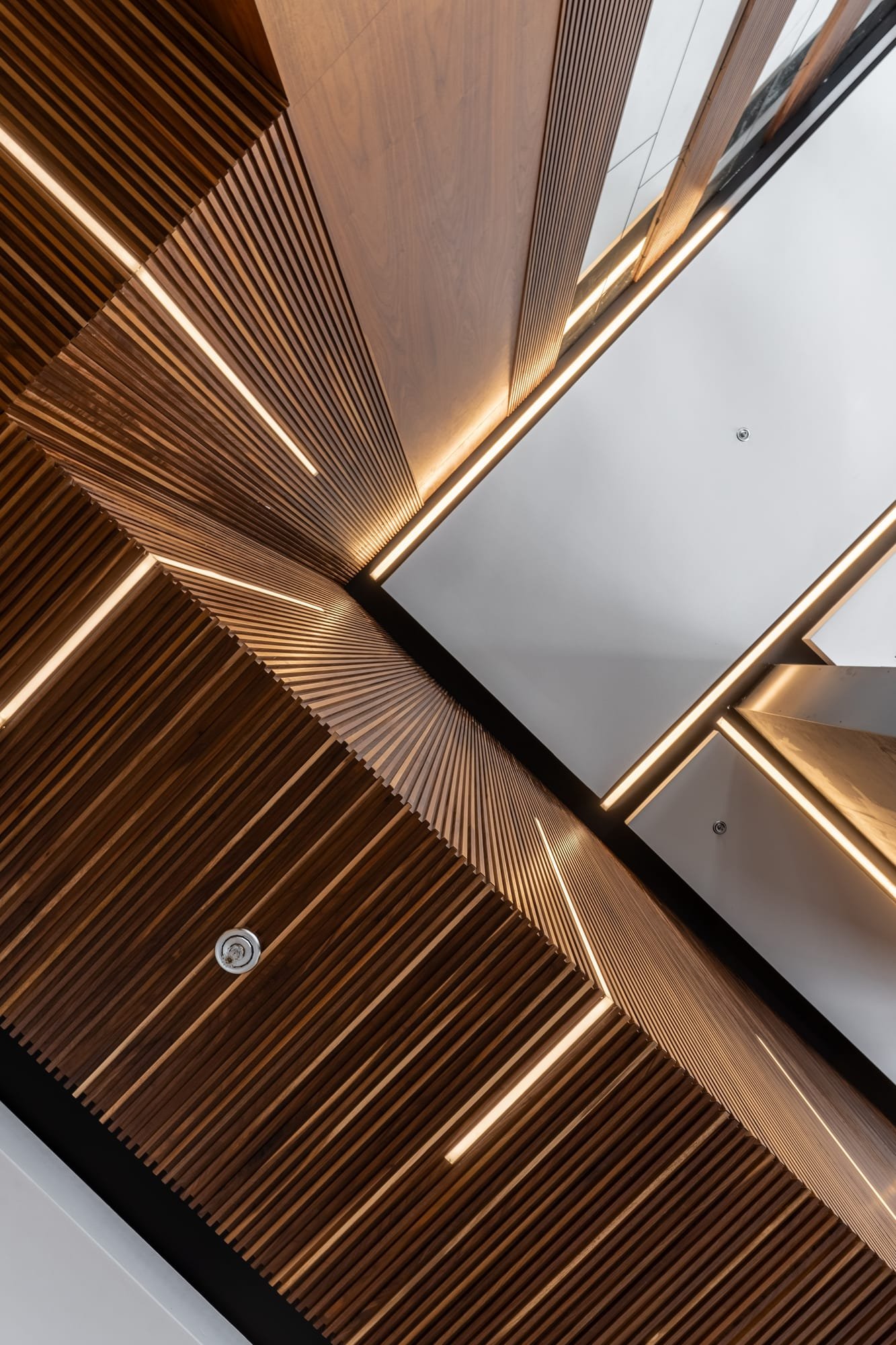 Walnut Veneer